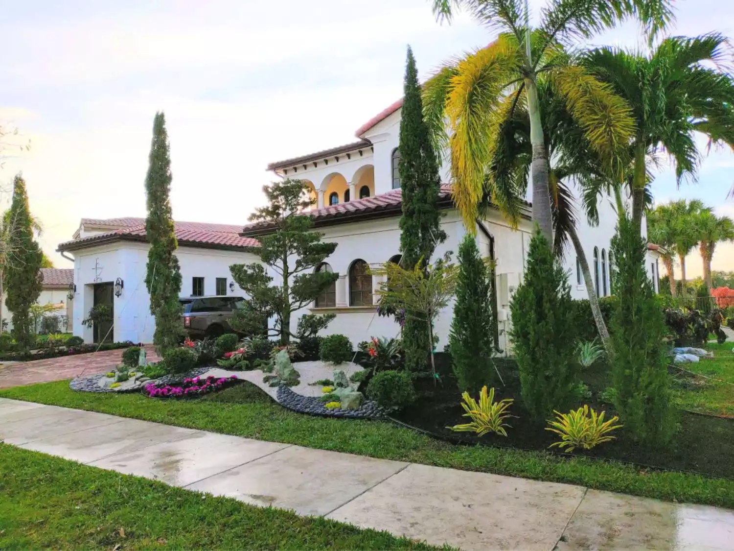 Kiến trục địa trung hải tại Parkland Florida