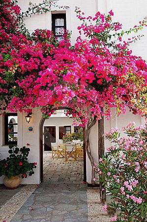 Cổng chào kiến trúc Địa Trung Hải