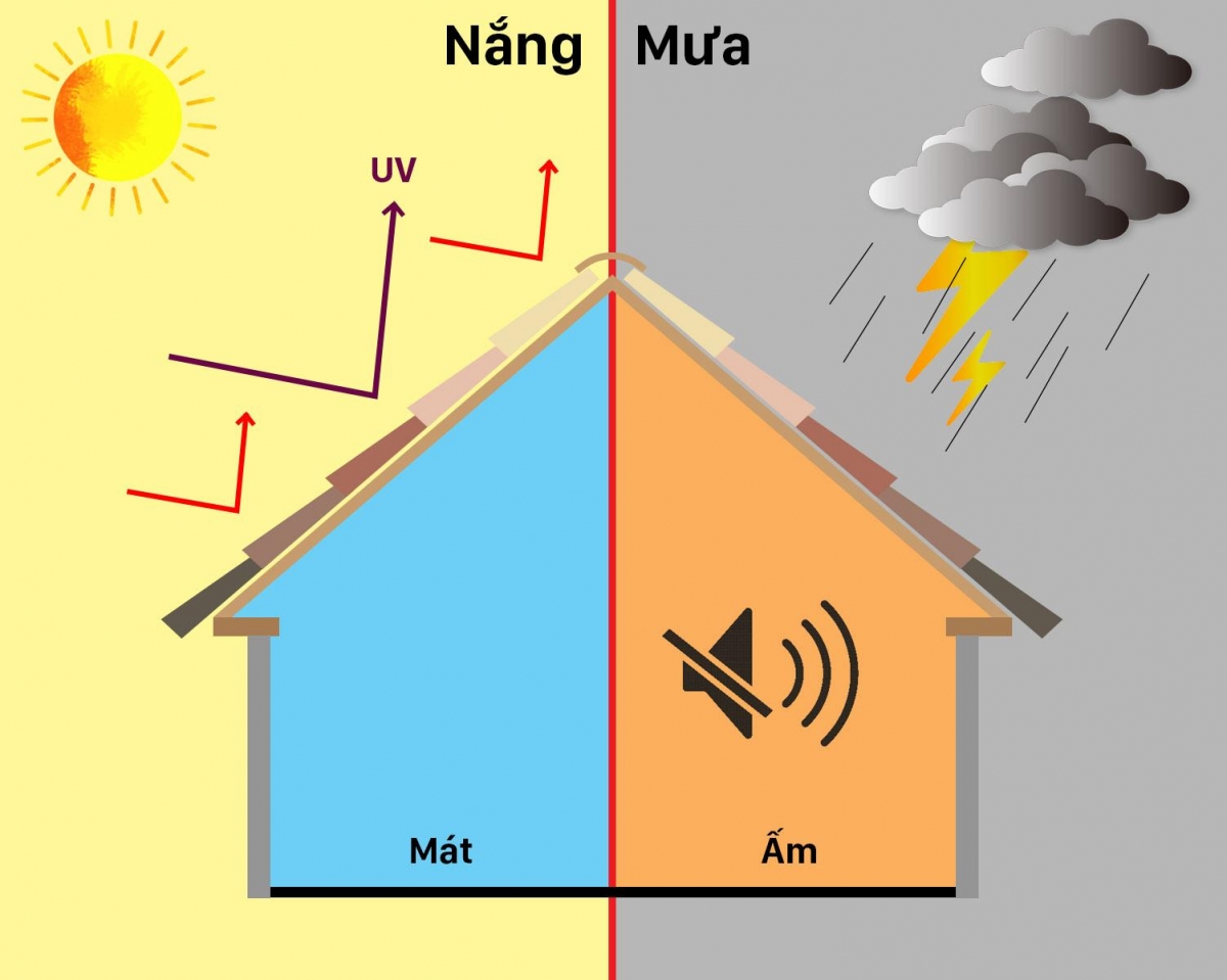 dac tinh ngoi mediteriano