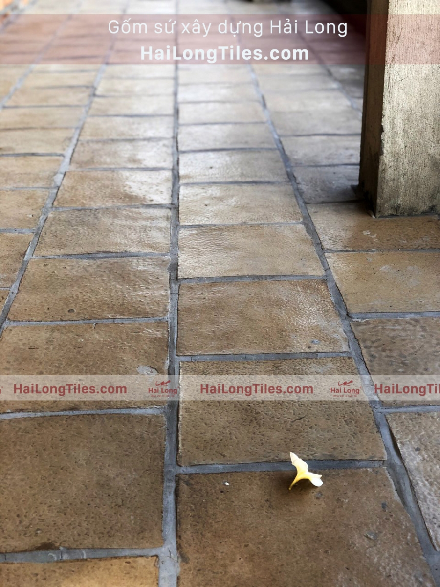 gạch cổ bát tràng