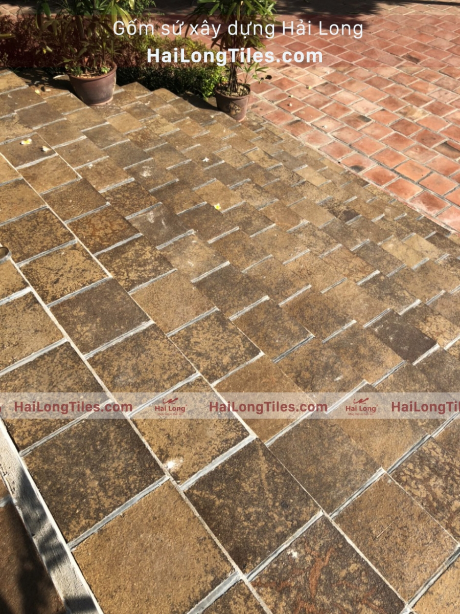 gạch cổ Hải Long