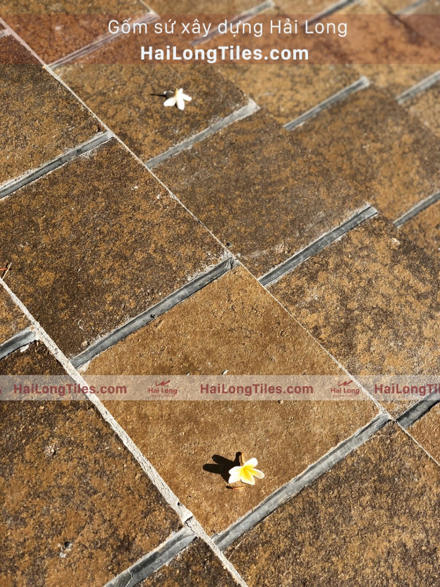gạch cổ HL