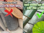 ngói rạn men