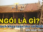 ngói là gì - Hải Long Tiles - HL