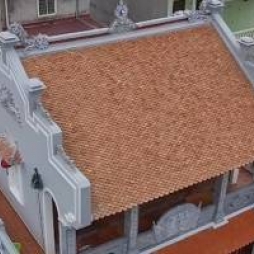 ngoi mui hai co Hai Long