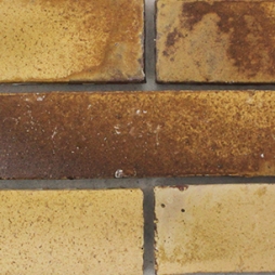 gạch cổ ốp tường