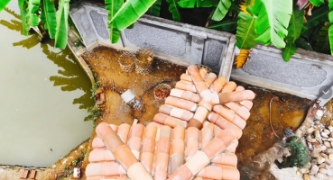 ngói đất nung