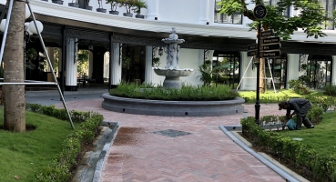 gạch cổ