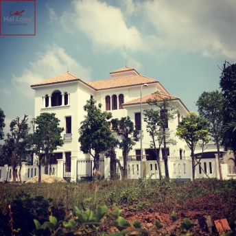 ngói địa trung hải