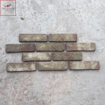 Gạch ốp tường cổ bề mặt giả mốc trắng kt 55x200x14 mm 01