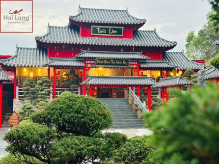 Ngói Âm Dương men ánh thép kiến trúc Chùa Cây Thị 01