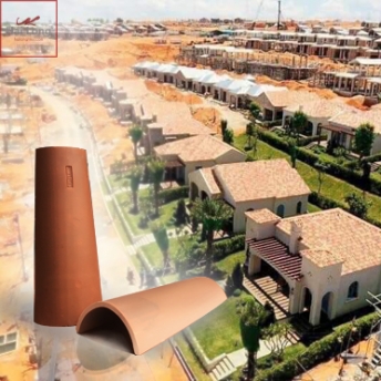 ngoi dia trung hai mediteriano chinh hang