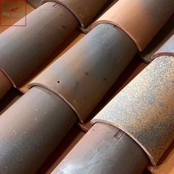 ngói địa trung hải cổ điển