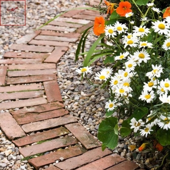 gạch gốm lát sân