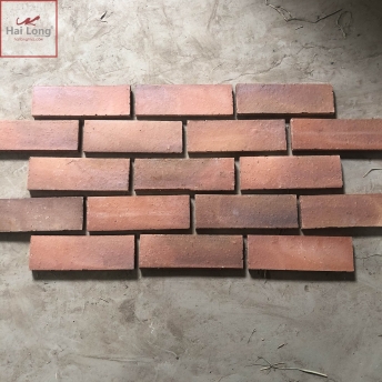 gạch lát sân 30x10