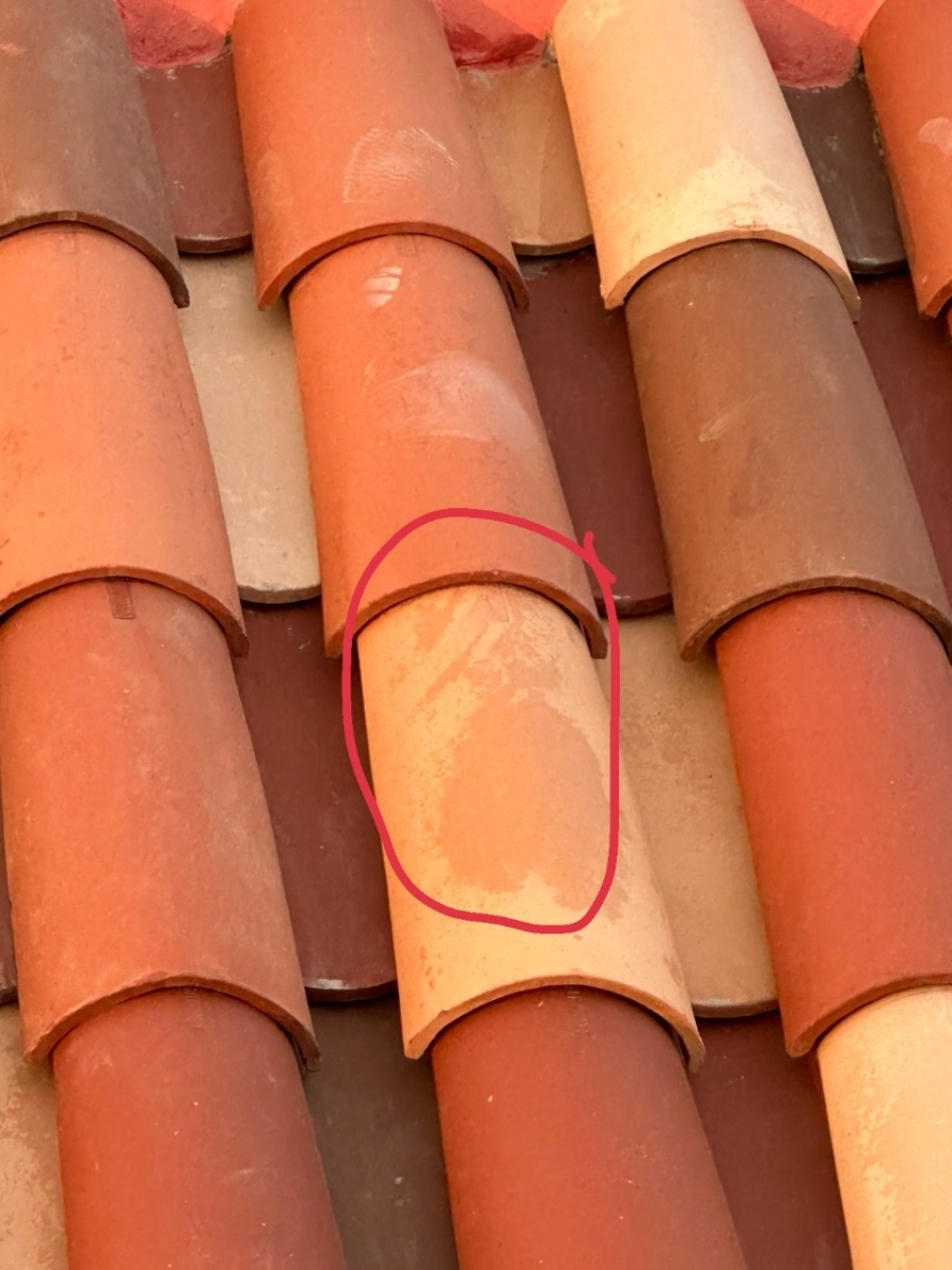 Vệt nước trên bề mặt ngói